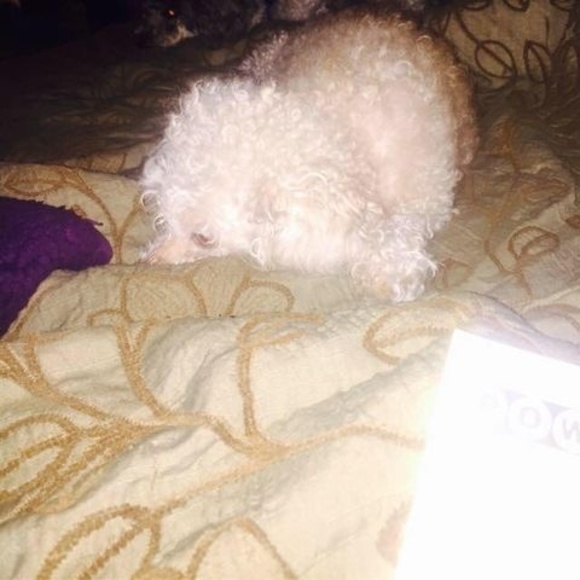 Meet your Posher, Michael - Picture 1 of 1